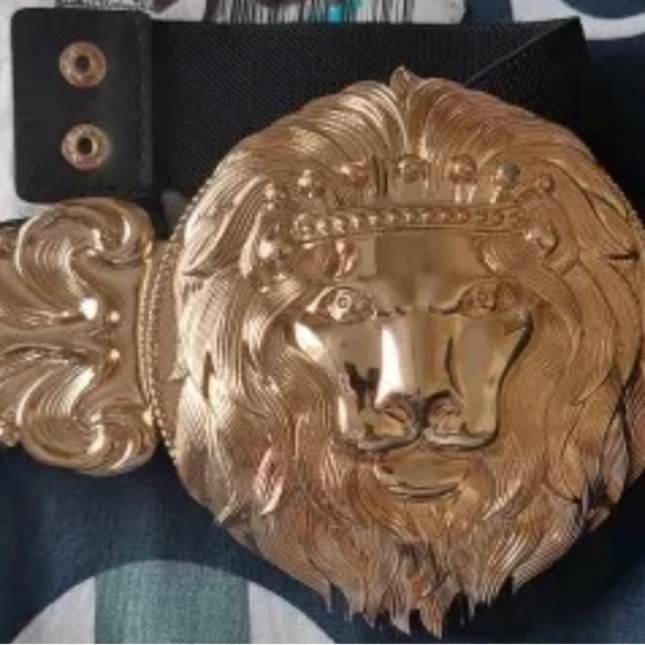 Belt - Picture 4 of 6